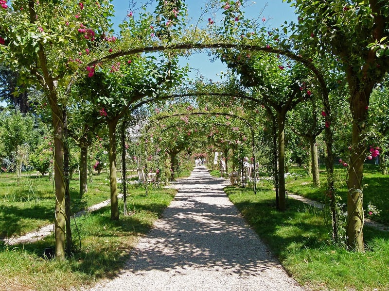 flowering trellis